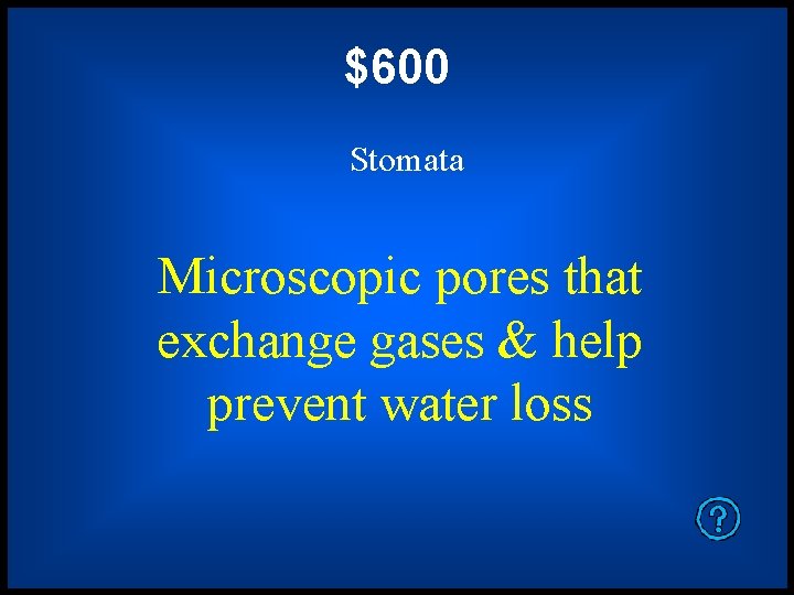 $600 Stomata Microscopic pores that exchange gases & help prevent water loss 