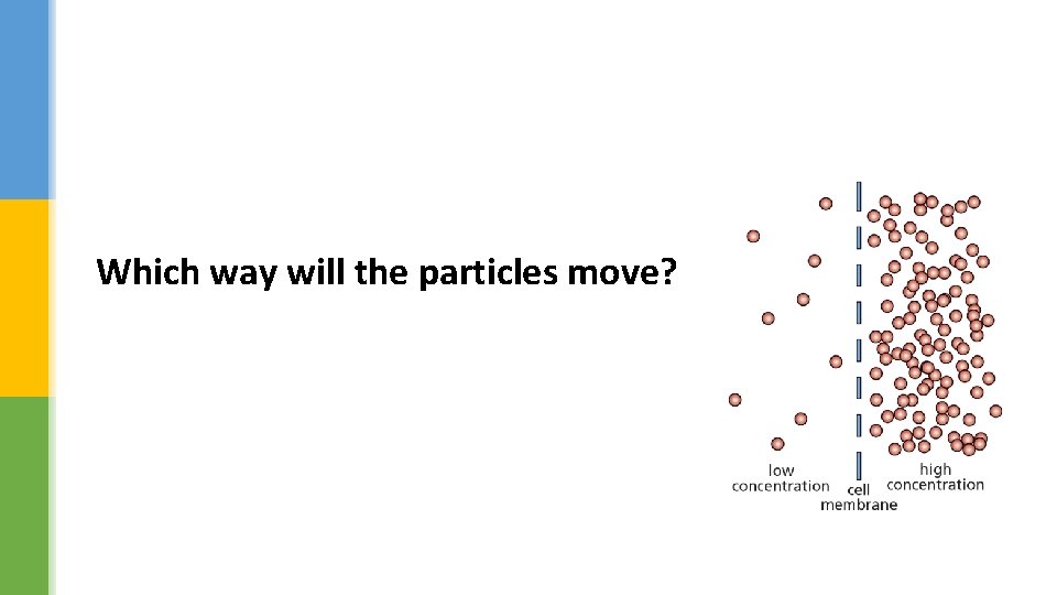 Which way will the particles move? 