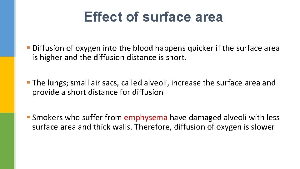 Effect of surface area § Diffusion of oxygen into the blood happens quicker if