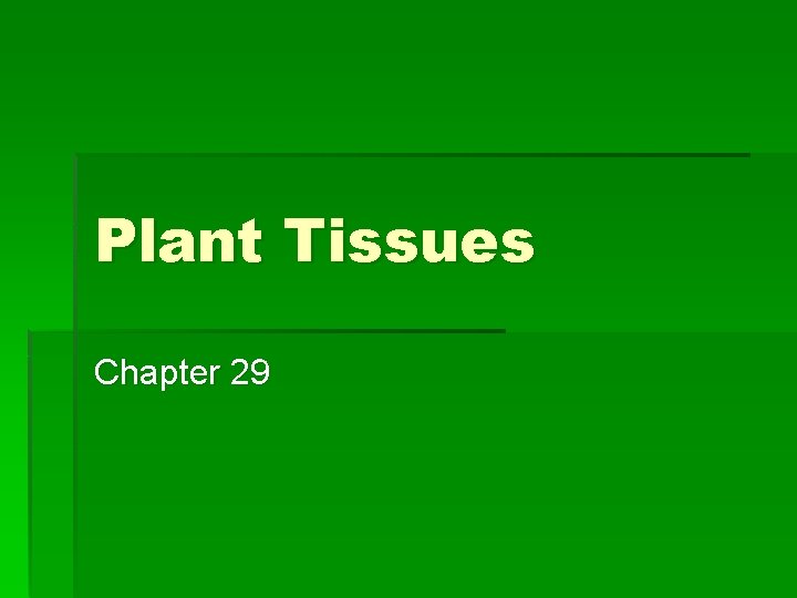 Plant Tissues Chapter 29 