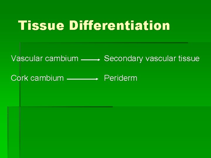 Tissue Differentiation Vascular cambium Secondary vascular tissue Cork cambium Periderm 