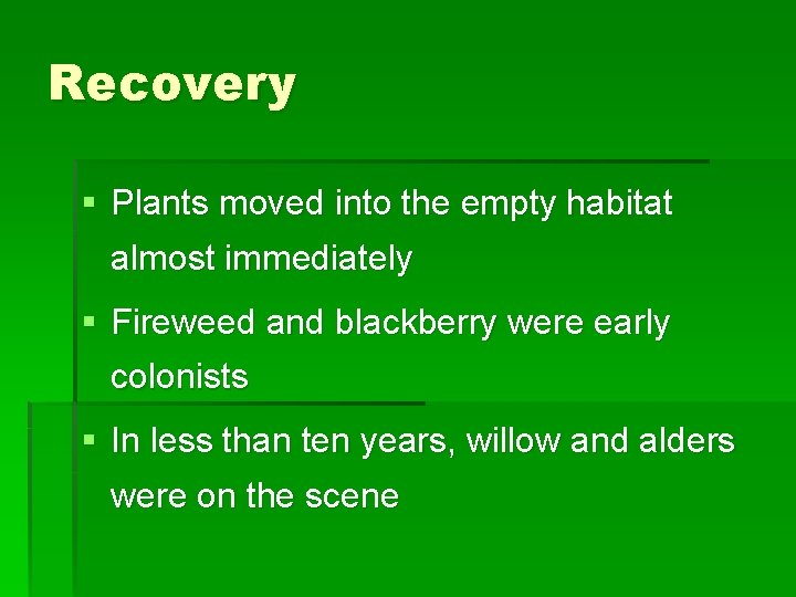 Recovery § Plants moved into the empty habitat almost immediately § Fireweed and blackberry