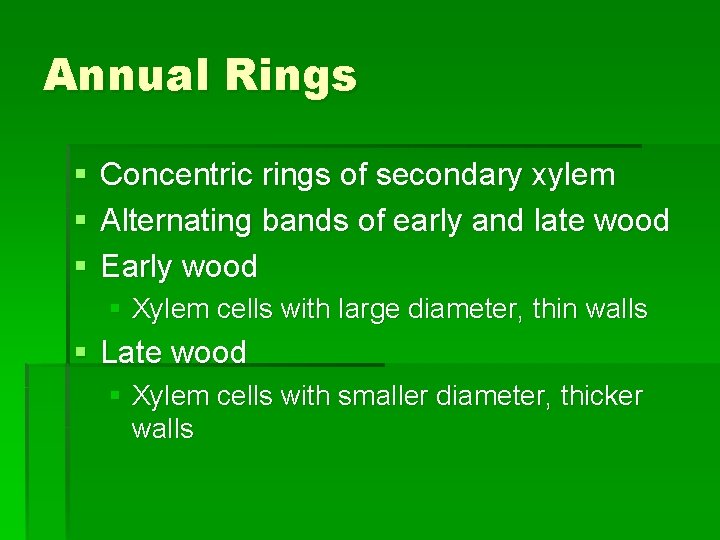 Annual Rings § § § Concentric rings of secondary xylem Alternating bands of early