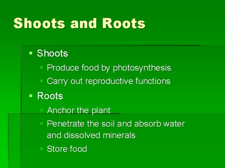 Shoots and Roots § Shoots § Produce food by photosynthesis § Carry out reproductive