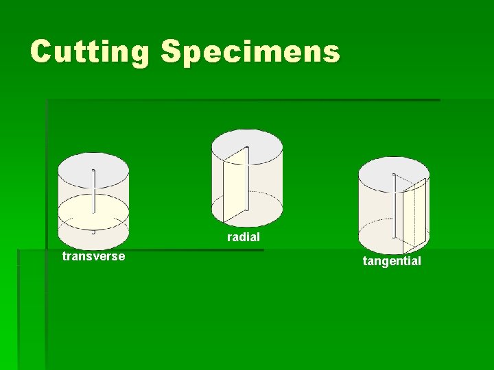 Cutting Specimens radial transverse tangential 