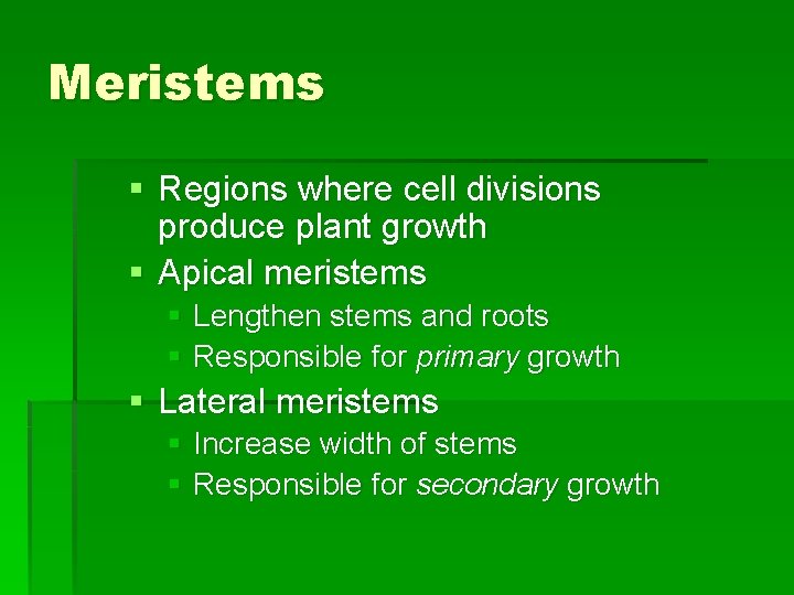 Meristems § Regions where cell divisions produce plant growth § Apical meristems § Lengthen