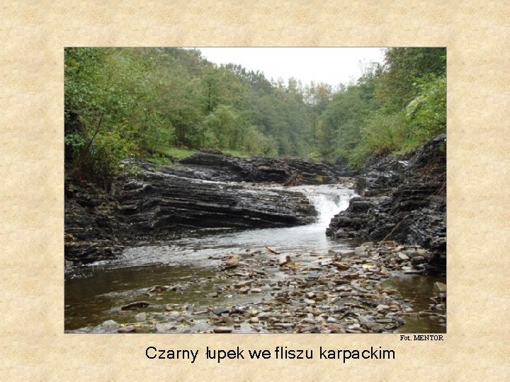 Fot. MENTOR Czarny łupek we fliszu karpackim Fot. MENTOR Czarny łupek we fliszu karpackim