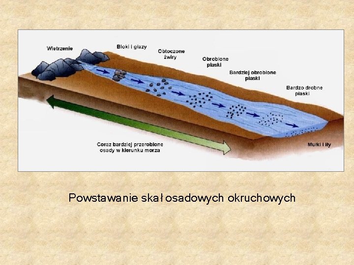 Powstawanie skał osadowych okruchowych Powstawanie skał osadowych okruchowych
