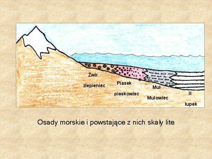 Osady morskie i powstające z nich skały lite Osady morskie i powstające z nich skały lite