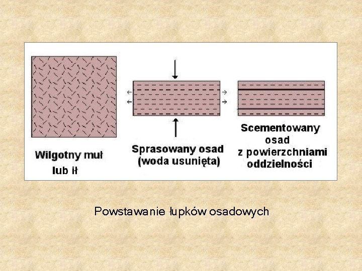 Powstawanie łupków osadowych Powstawanie łupków osadowych