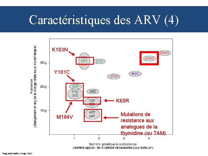 Caractéristiques des ARV (4) K 103 N Y 181 C K 65 R M