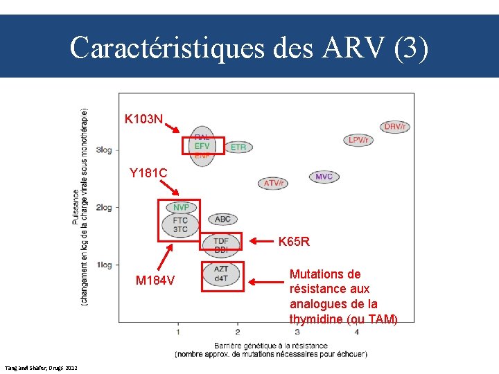 Caractéristiques des ARV (3) K 103 N Y 181 C K 65 R M