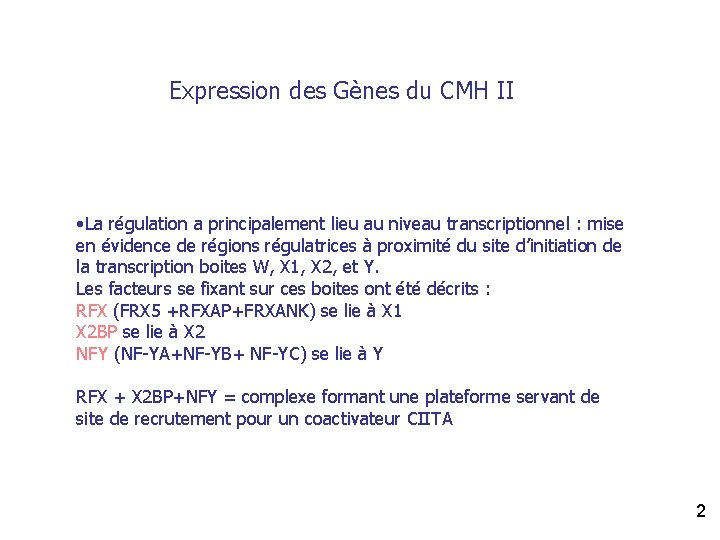 Expression des Gènes du CMH II • La régulation a principalement lieu au niveau