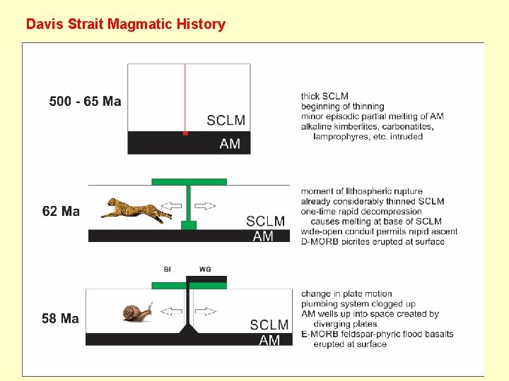 Davis Strait Magmatic History 