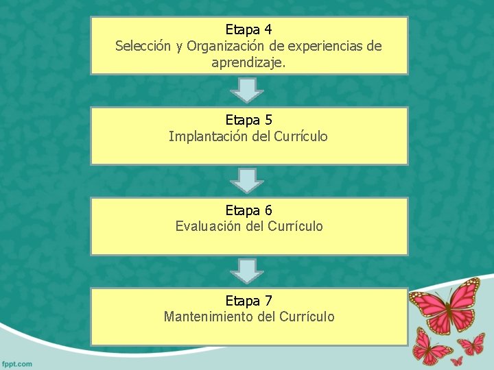 Etapa 4 Selección y Organización de experiencias de aprendizaje. Etapa 5 Implantación del Currículo