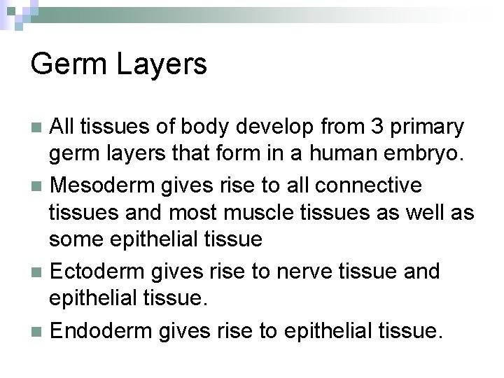 Germ Layers All tissues of body develop from 3 primary germ layers that form