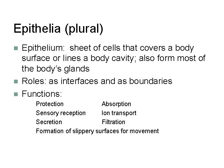 Epithelia (plural) n n n Epithelium: sheet of cells that covers a body surface