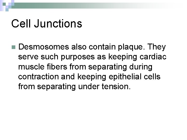 Cell Junctions n Desmosomes also contain plaque. They serve such purposes as keeping cardiac