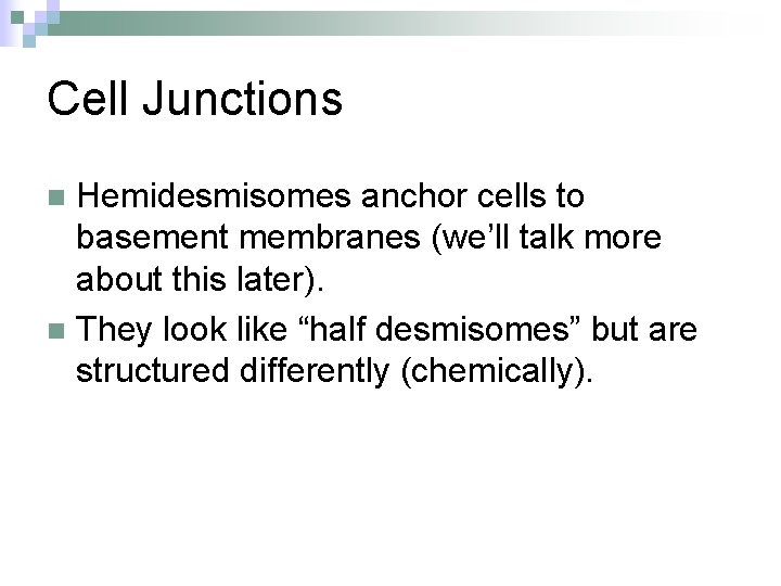 Cell Junctions Hemidesmisomes anchor cells to basement membranes (we’ll talk more about this later).