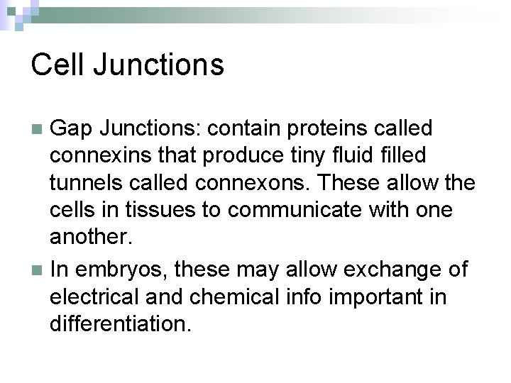 Cell Junctions Gap Junctions: contain proteins called connexins that produce tiny fluid filled tunnels