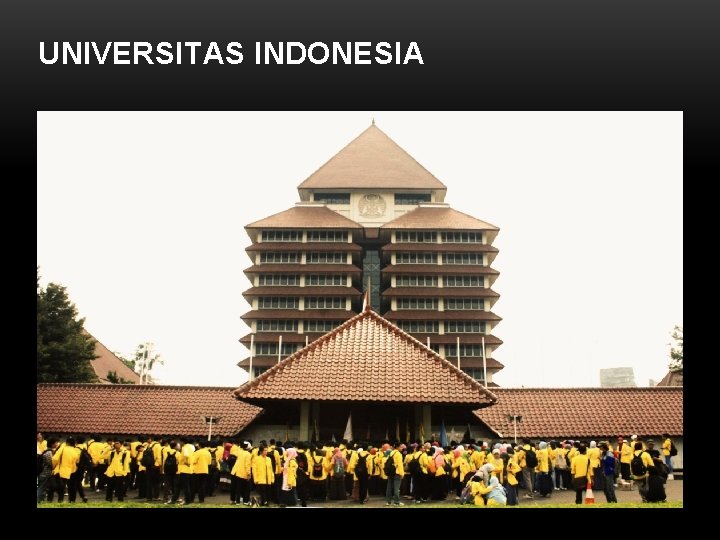 UNIVERSITAS INDONESIA 