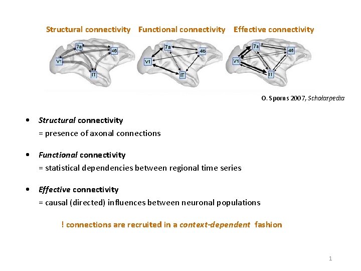 Structural connectivity Functional connectivity Effective connectivity O. Sporns 2007, Scholarpedia • Structural connectivity =