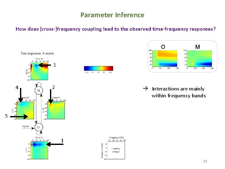 Parameter Inference How does (cross-)frequency coupling lead to the observed time-frequency responses? O M