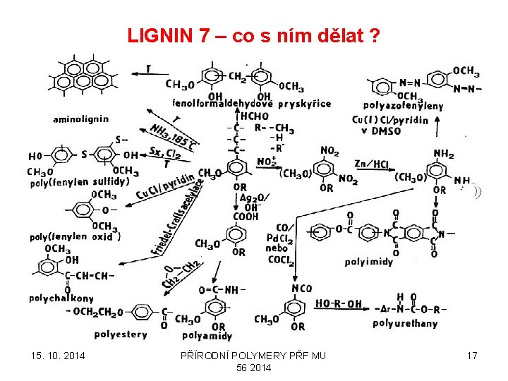 LIGNIN 7 – co s ním dělat ? 15. 10. 2014 PŘÍRODNÍ POLYMERY PŘF