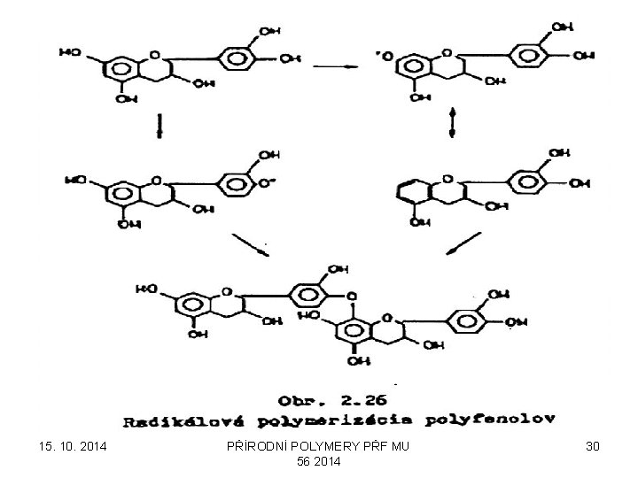 15. 10. 2014 PŘÍRODNÍ POLYMERY PŘF MU 56 2014 30 
