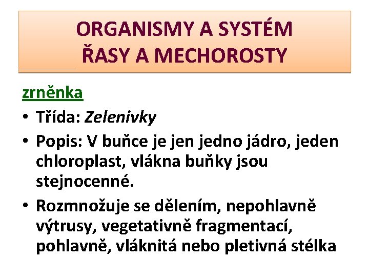 ORGANISMY A SYSTÉM ŘASY A MECHOROSTY zrněnka • Třída: Zelenivky • Popis: V buňce