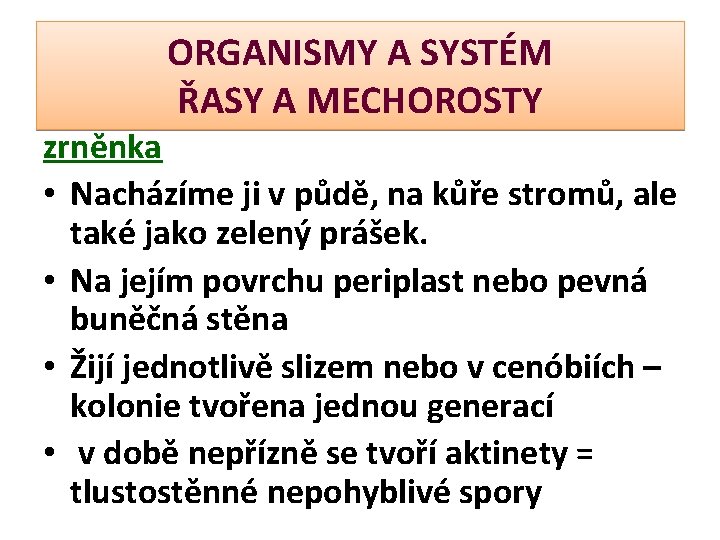 ORGANISMY A SYSTÉM ŘASY A MECHOROSTY zrněnka • Nacházíme ji v půdě, na kůře