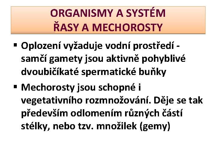 ORGANISMY A SYSTÉM ŘASY A MECHOROSTY § Oplození vyžaduje vodní prostředí samčí gamety jsou