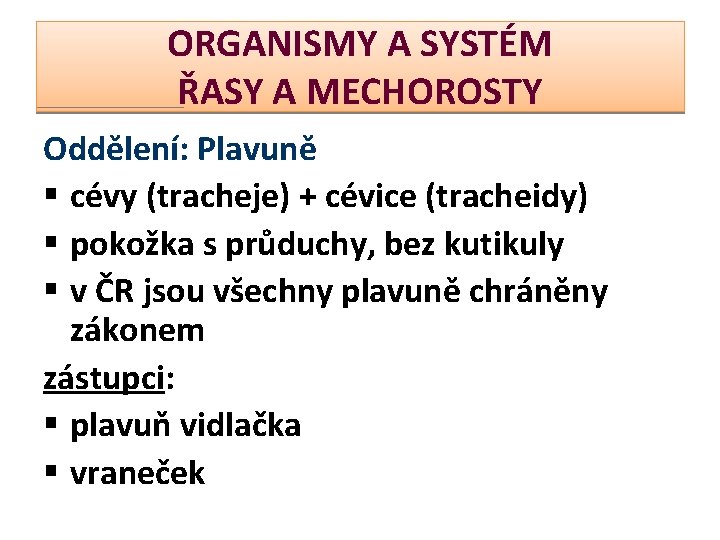 ORGANISMY A SYSTÉM ŘASY A MECHOROSTY Oddělení: Plavuně § cévy (tracheje) + cévice (tracheidy)