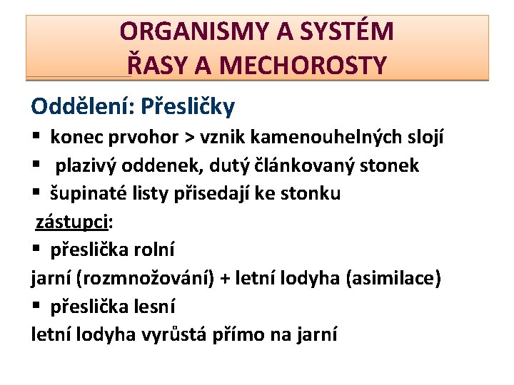 ORGANISMY A SYSTÉM ŘASY A MECHOROSTY Oddělení: Přesličky § konec prvohor > vznik kamenouhelných