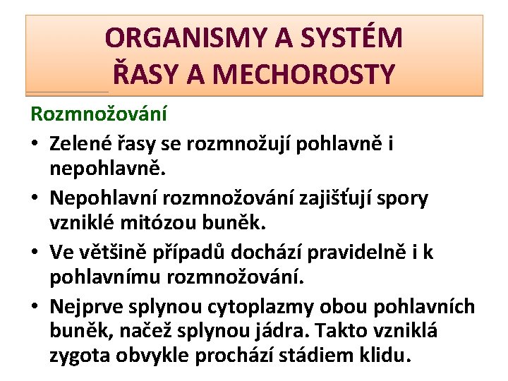 ORGANISMY A SYSTÉM ŘASY A MECHOROSTY Rozmnožování • Zelené řasy se rozmnožují pohlavně i