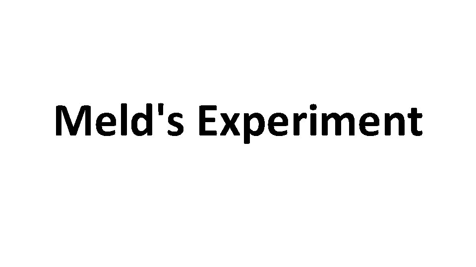 Meld's Experiment 
