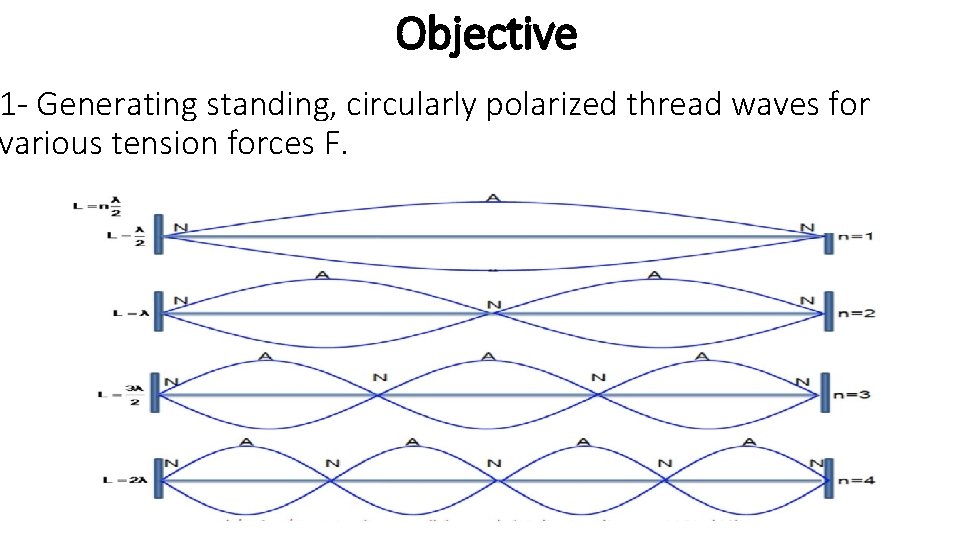 Objective 1 - Generating standing, circularly polarized thread waves for various tension forces F.