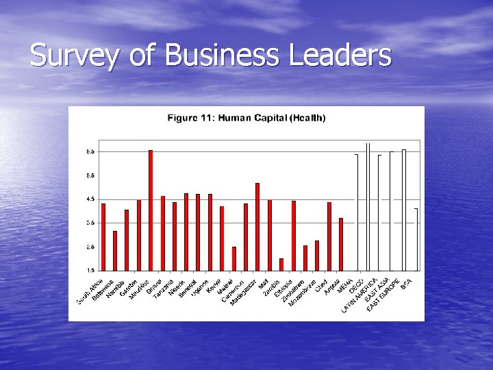 Survey of Business Leaders 