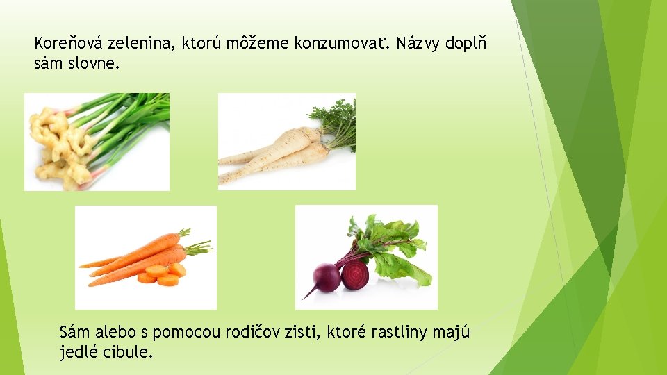 Koreňová zelenina, ktorú môžeme konzumovať. Názvy doplň sám slovne. Sám alebo s pomocou rodičov