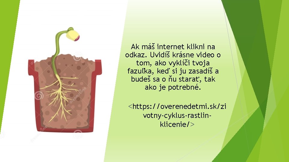 Ak máš internet klikni na odkaz. Uvidíš krásne video o tom, ako vyklíči tvoja