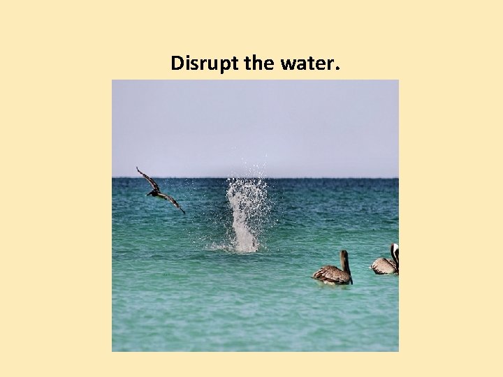 Disrupt the water. 