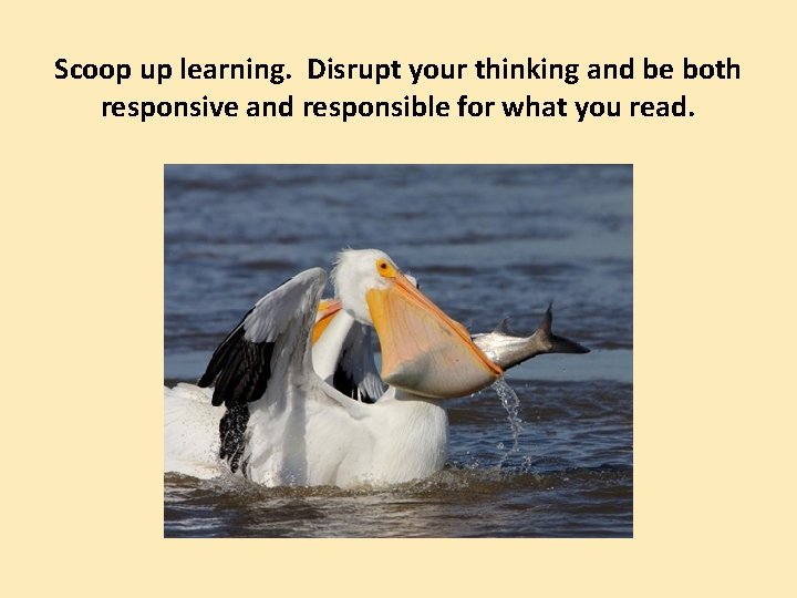 Scoop up learning. Disrupt your thinking and be both responsive and responsible for what