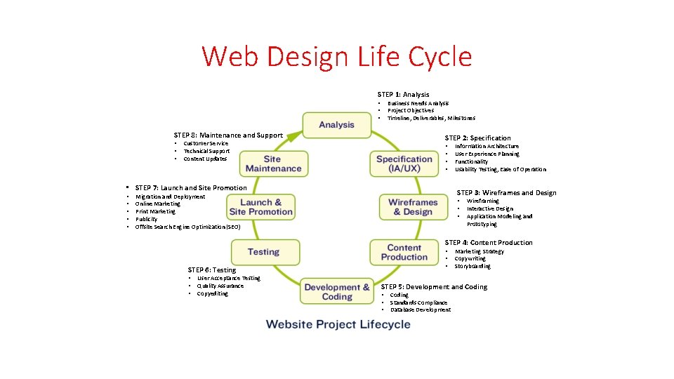 Web Design Life Cycle STEP 1: Analysis • • • Business Needs Analysis Project