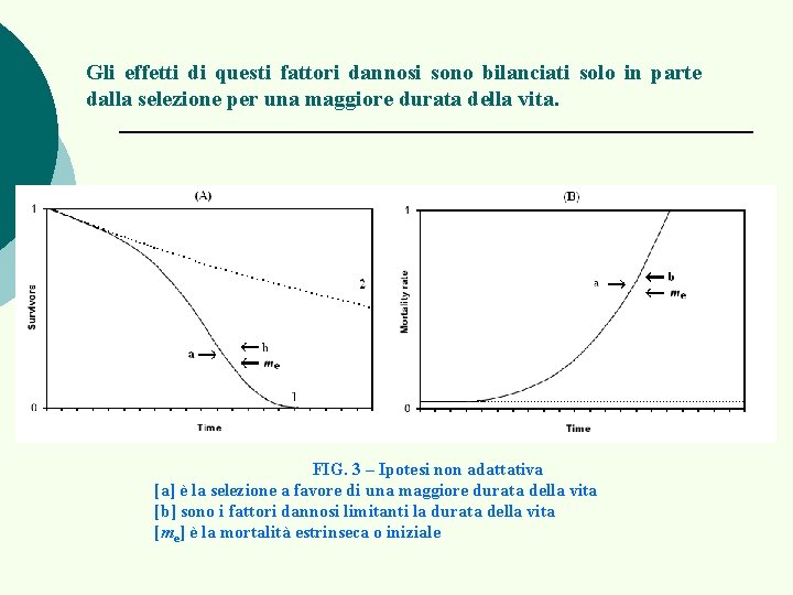 Gli effetti di questi fattori dannosi sono bilanciati solo in parte dalla selezione per