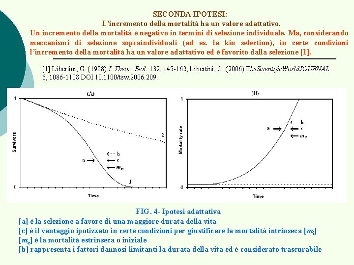 SECONDA IPOTESI: L’incremento della mortalità ha un valore adattativo. Un incremento della mortalità è