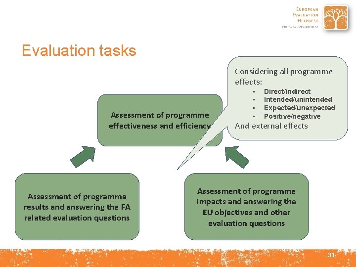Evaluation tasks Considering all programme effects: Assessment of programme effectiveness and efficiency Assessment of