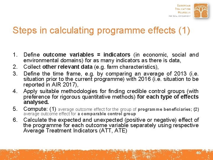 Steps in calculating programme effects (1) 1. 2. 3. 4. 5. 6. Define outcome