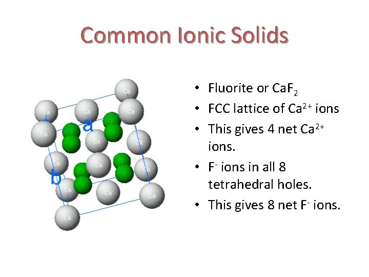 Common Ionic Solids • Fluorite or Ca. F 2 • FCC lattice of Ca