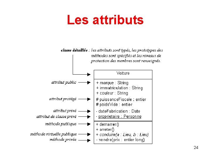 Les attributs 24 Les attributs 24