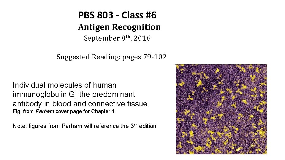 PBS 803 - Class #6 Antigen Recognition September 8 th, 2016 Suggested Reading: pages